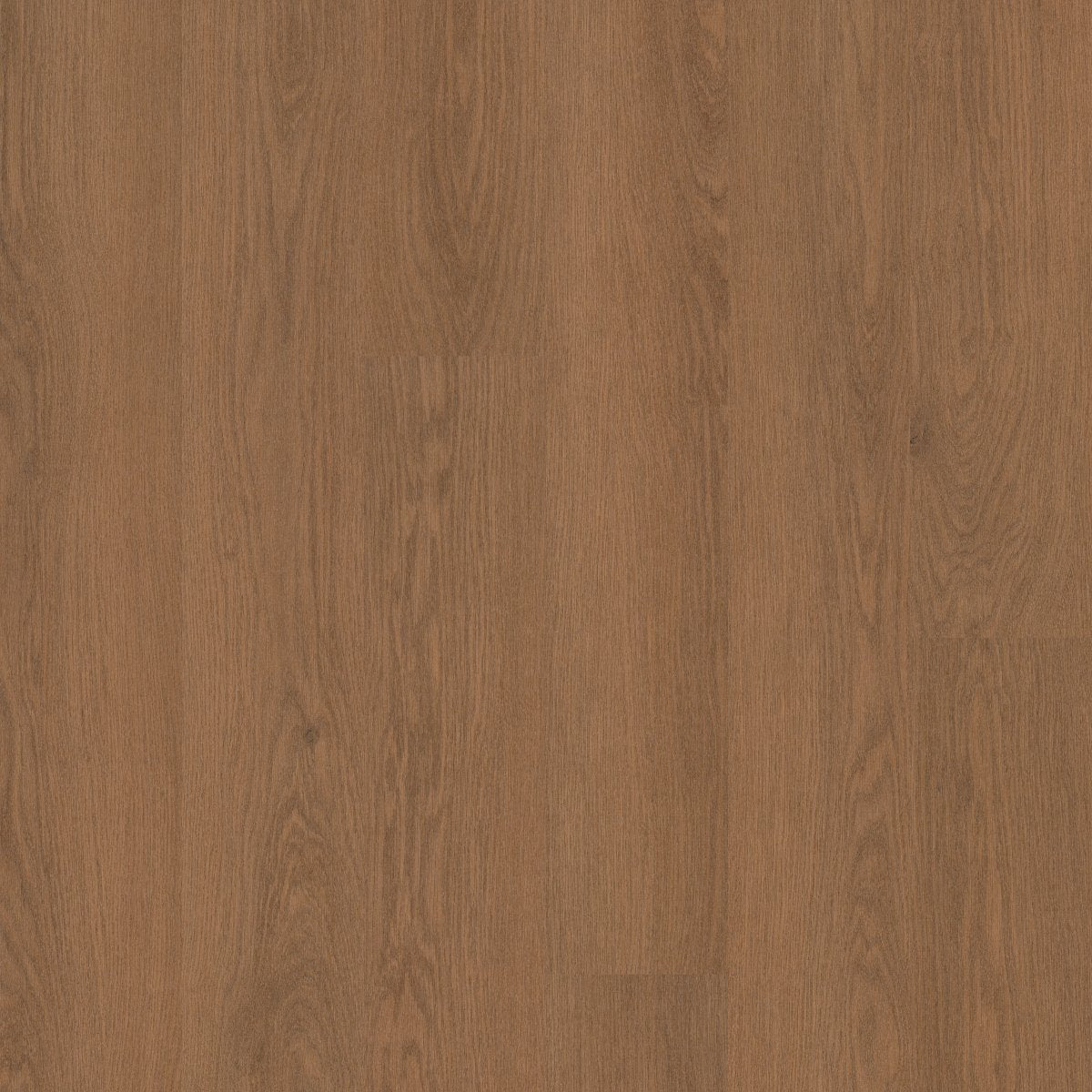 Willow Oak 20 Mil Copper Oak 00841