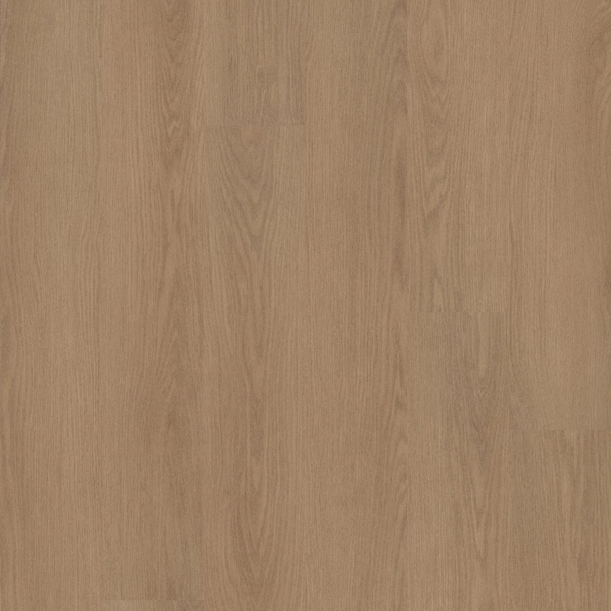 Willow Oak 4.0 Butternut Oak 07365