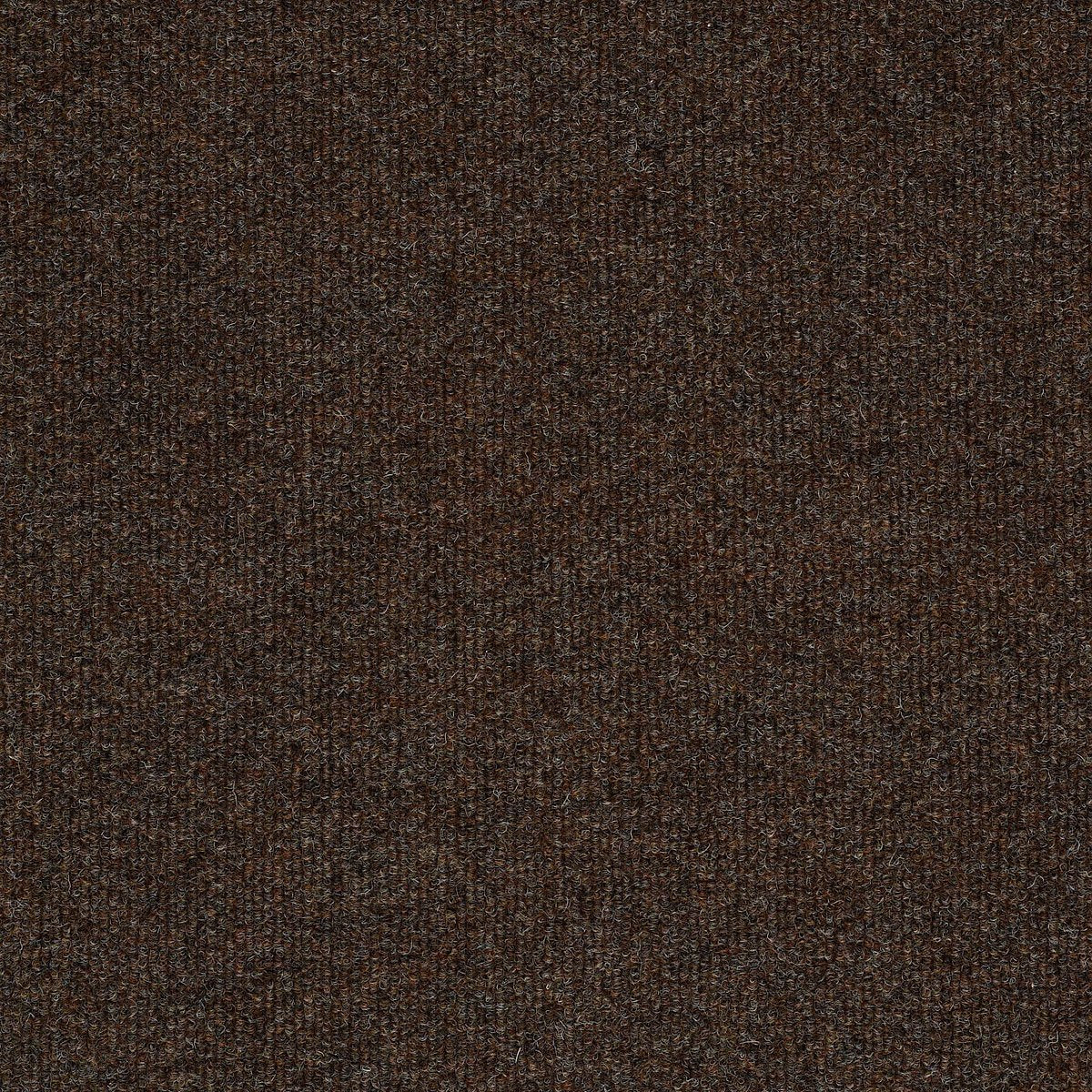 Windsurf Embers 00600