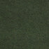 Windsurf Simply Green 00300