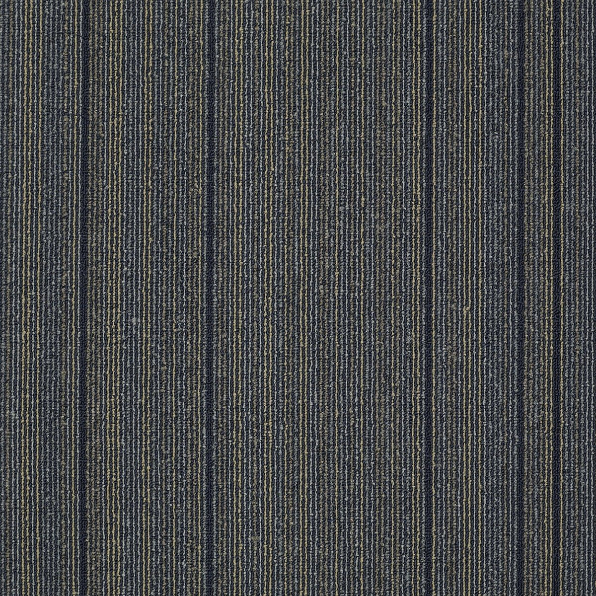 Wired Jolted 92495