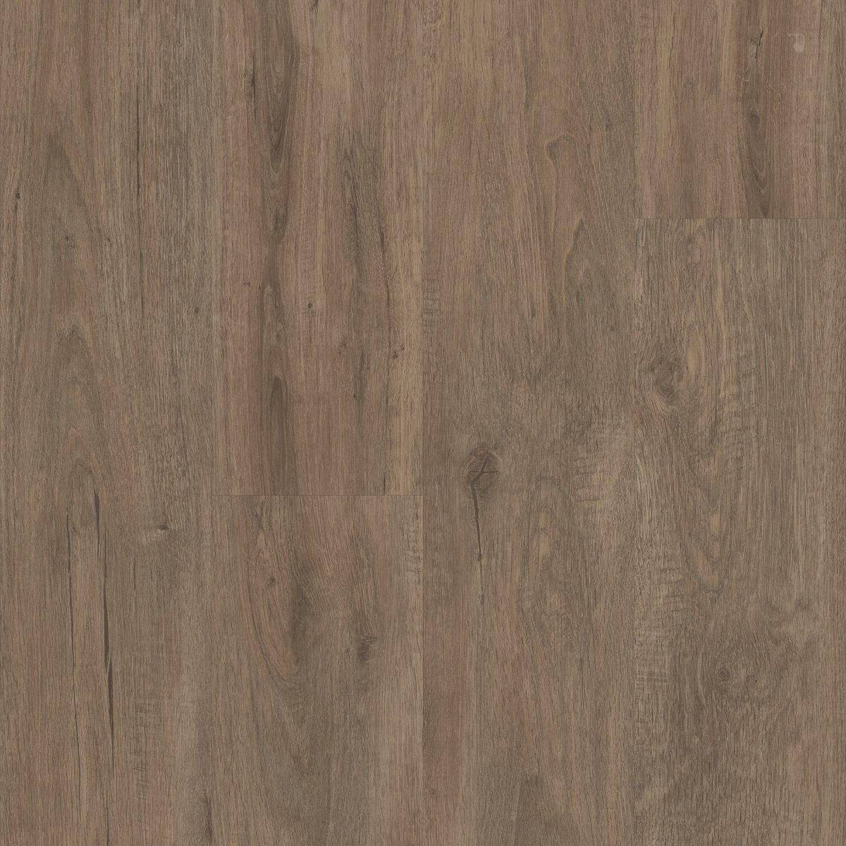 Woodwork Sawdust 00720