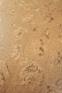 Wicanders Cork Essence Floating Plank - Originals Accent 12"x36" - GreenFlooringSupply.com