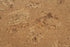 Wicanders Cork Essence Floating Plank - Originals Accent 12"x36" - GreenFlooringSupply.com