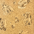 Wicanders Cork Essence Floating Plank - Originals Accent 12"x36" - GreenFlooringSupply.com