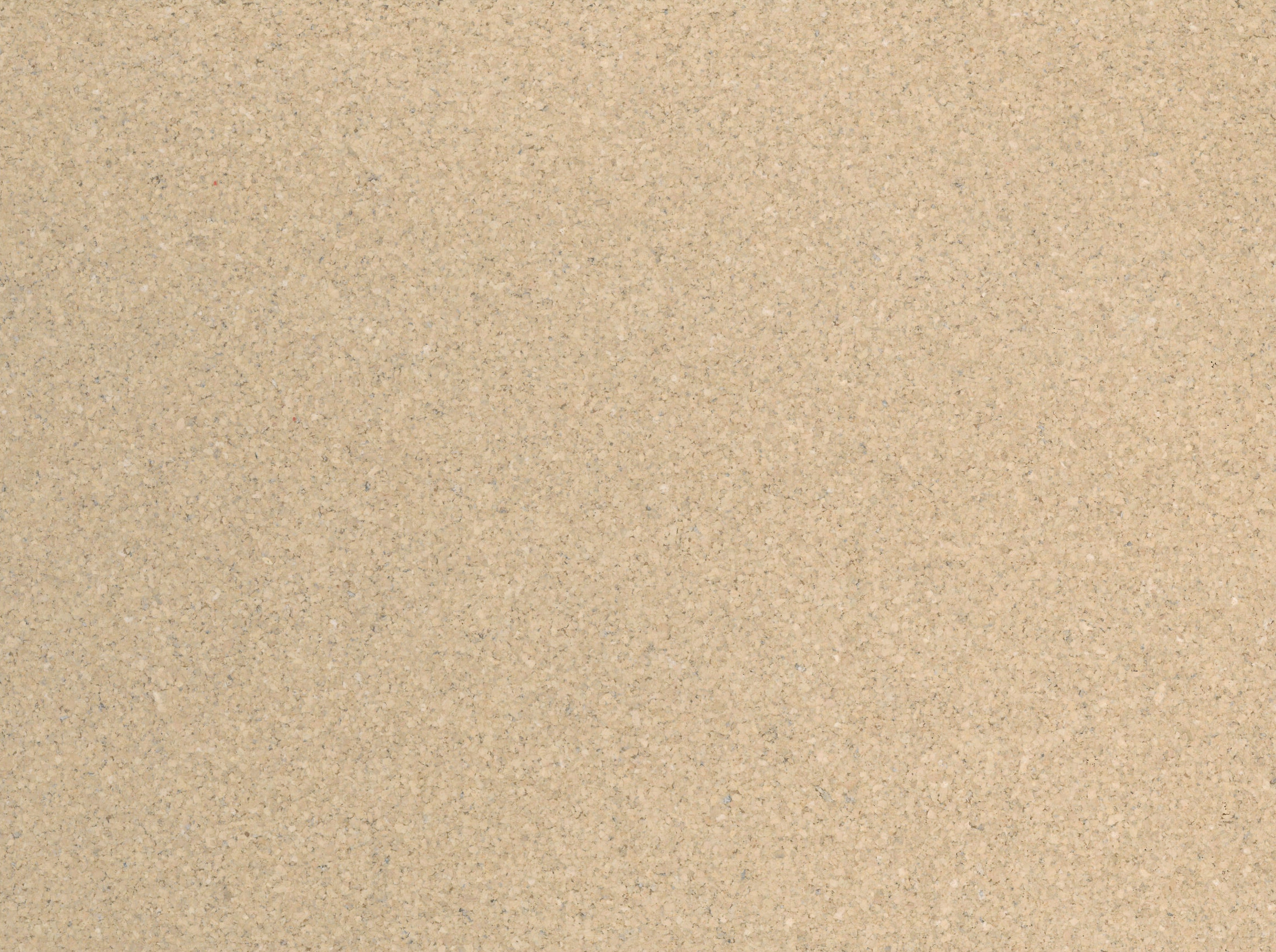 Wicanders Cork GO Earth Tones Sand natural cork plank close-up showing texture and grain