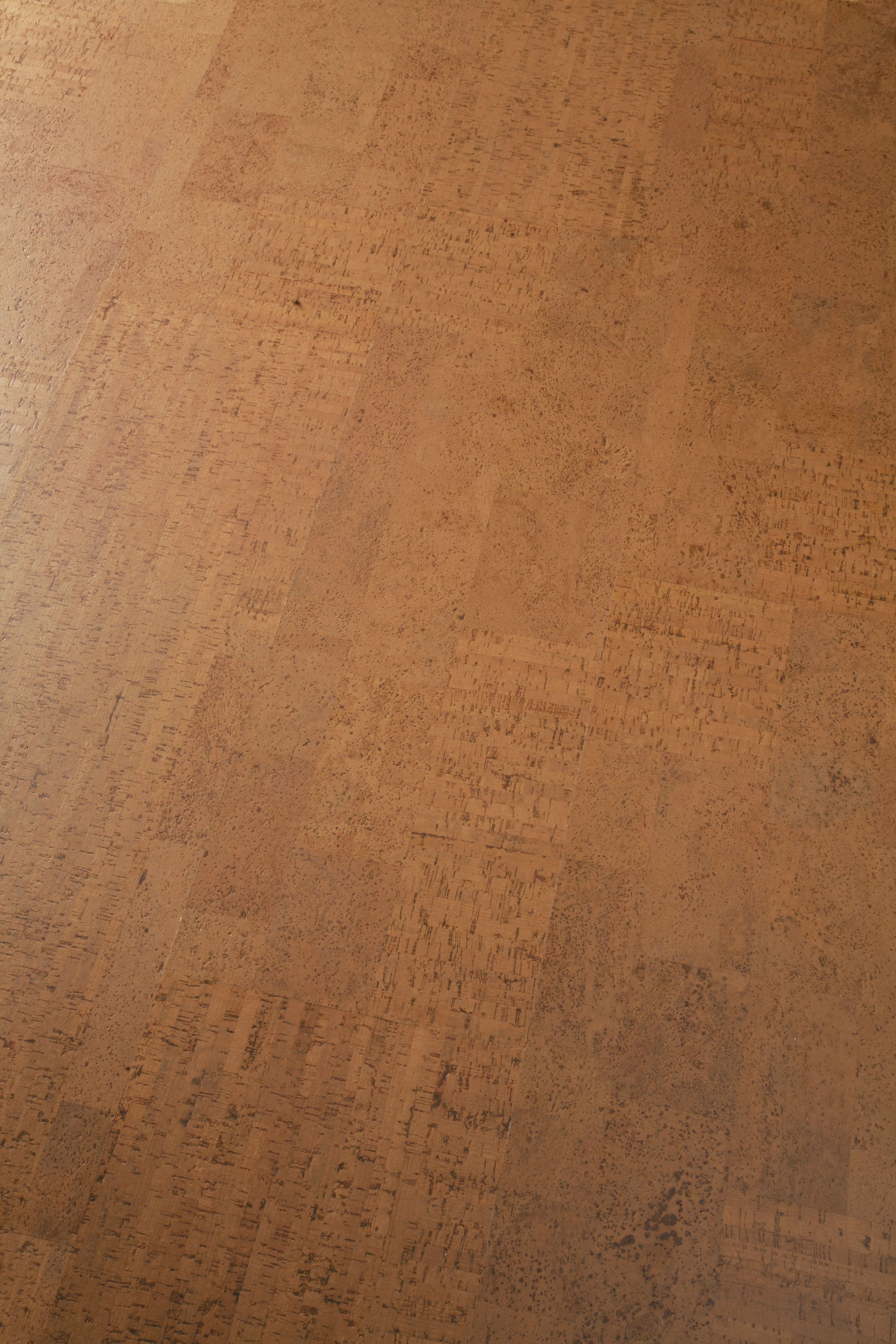 Wicanders Cork GO Fashionable Tan natural cork plank close-up showing texture and grain