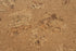Wicanders Cork Go Originals Accent close-up of a cork material sample showing a natural tan and brown textured surface with darker speckled inclusions.