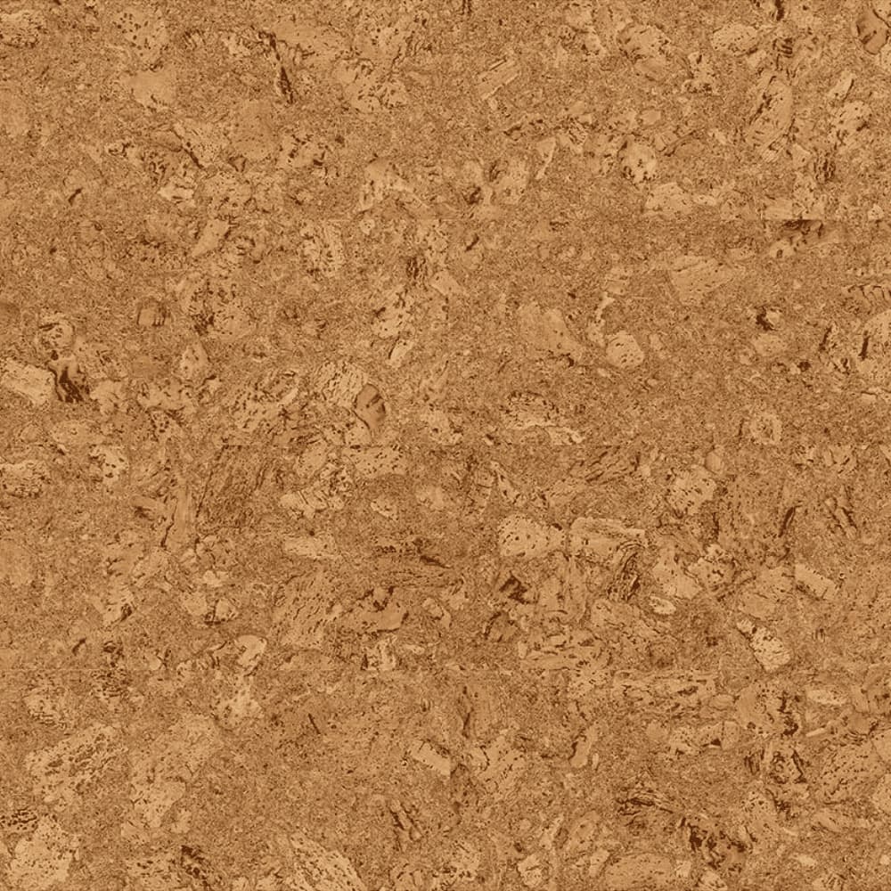 Wicanders Cork GO Originals Dawn natural cork plank close-up showing texture and grain