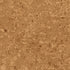 Wicanders Cork GO Originals Dawn natural cork plank close-up showing texture and grain