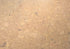 Wicanders Cork GO Personality Champagne install with seams