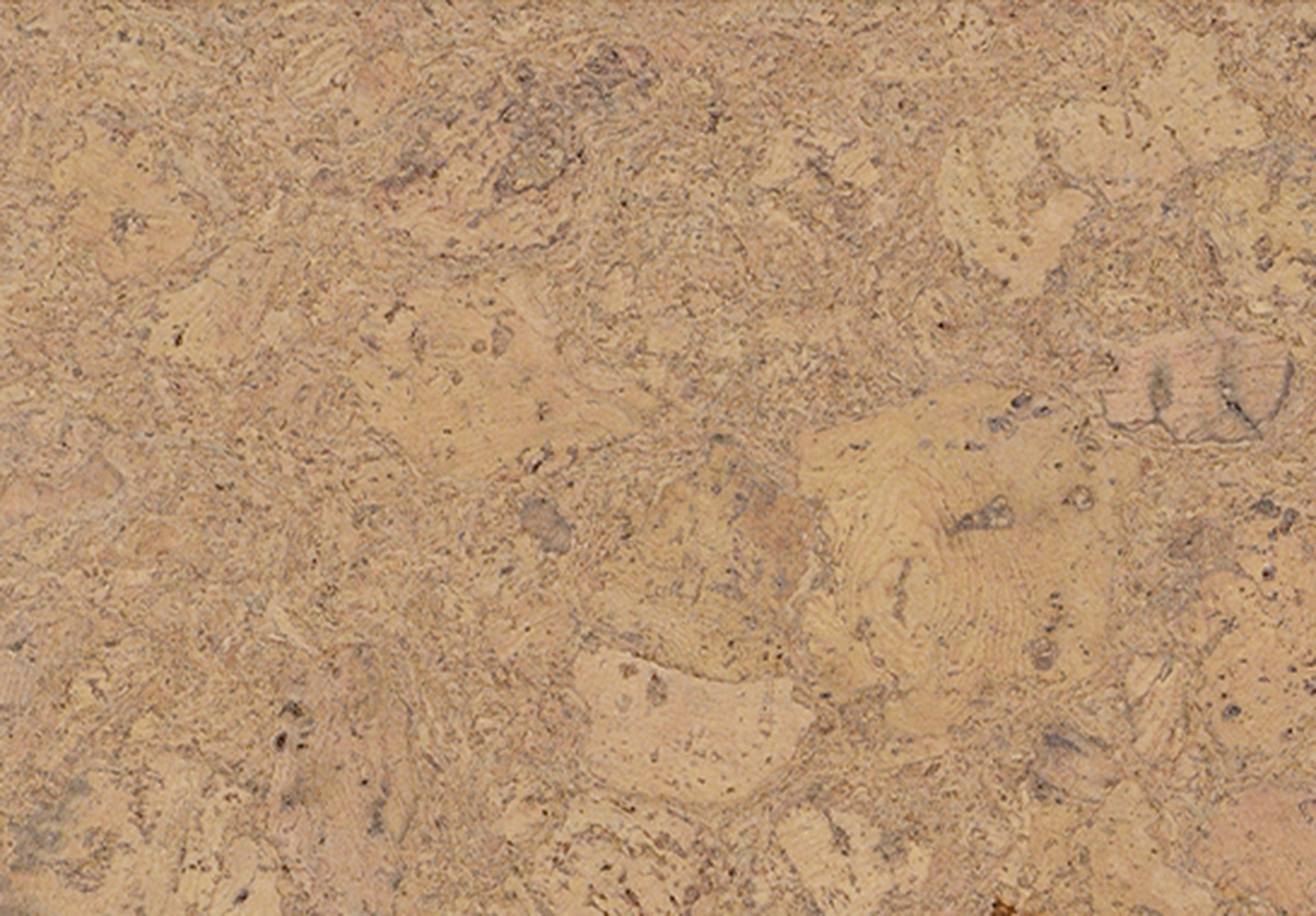 Wicanders Cork GO Personality Champagne natural cork plank close-up showing texture and grain