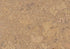 Wicanders Cork GO Personality Champagne natural cork plank close-up showing texture and grain