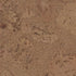 Wicanders Cork GO Personality Tea natural cork plank close-up showing texture and grain