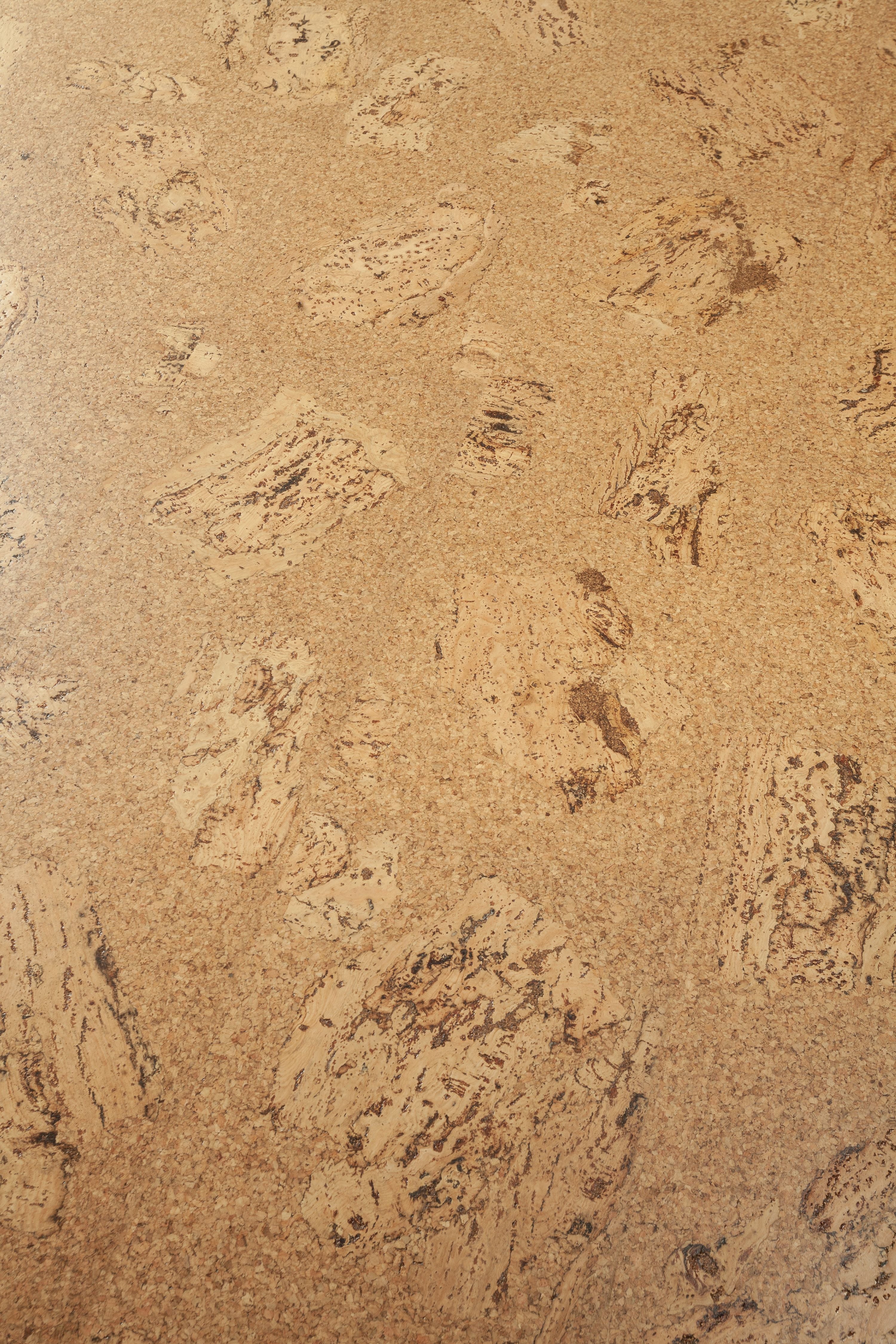 Wicanders Cork GO Original Accent natural cork plank close-up showing texture and grain