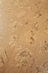 Wicanders Cork GO Original Accent natural cork plank close-up showing texture and grain