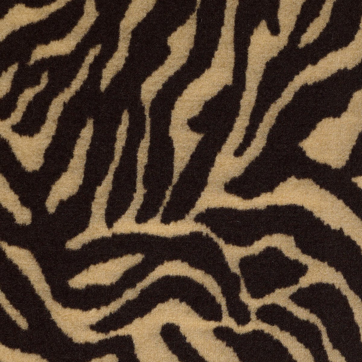 Zebra Grazer 05704