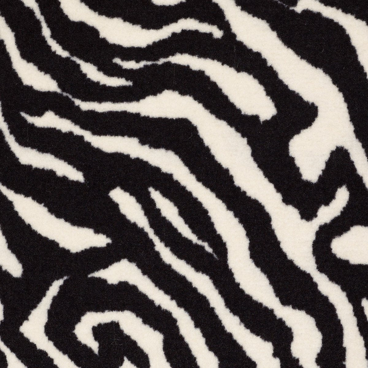 Zebra Migrant Beauty 05510