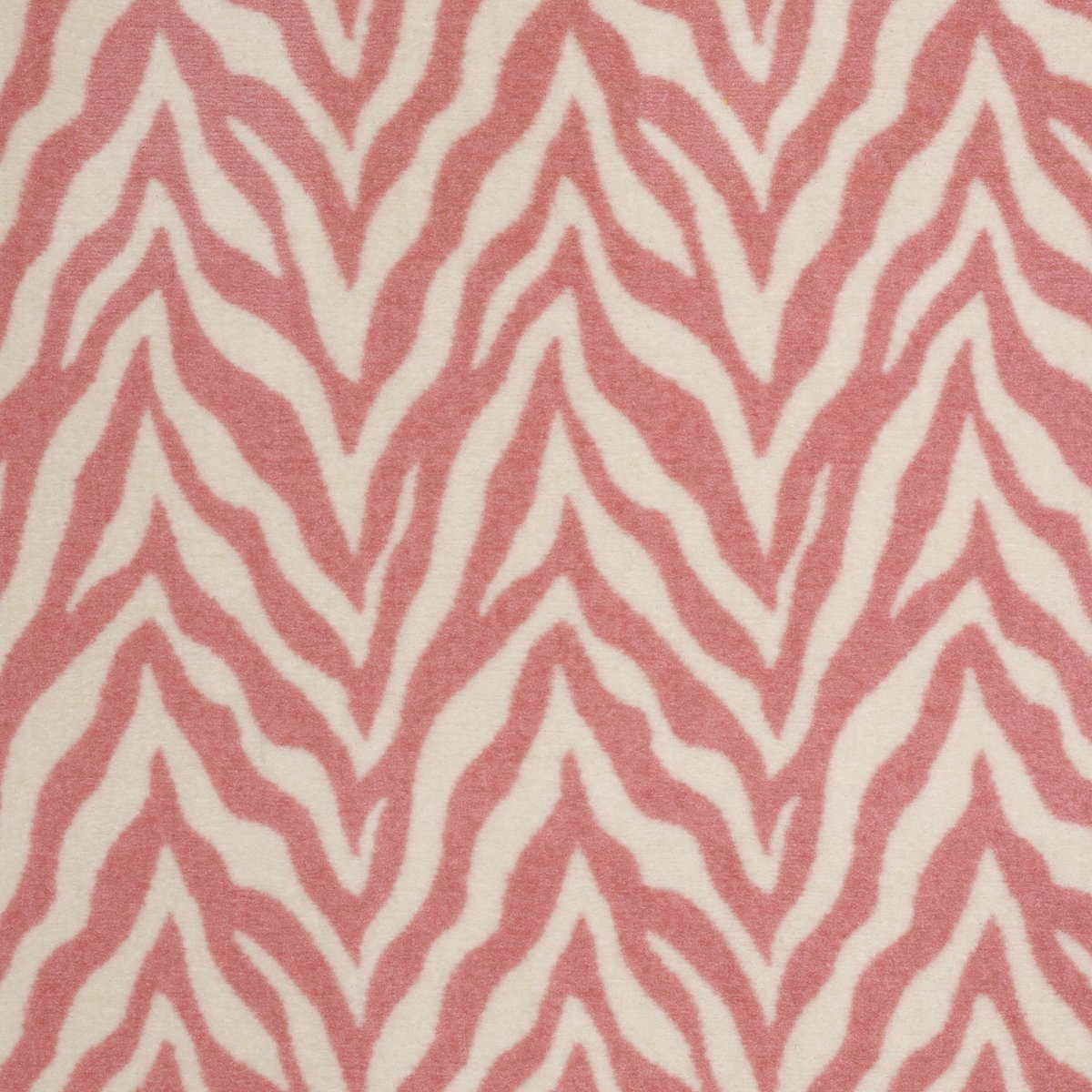 Zesty Zebra Free Spirit 35800