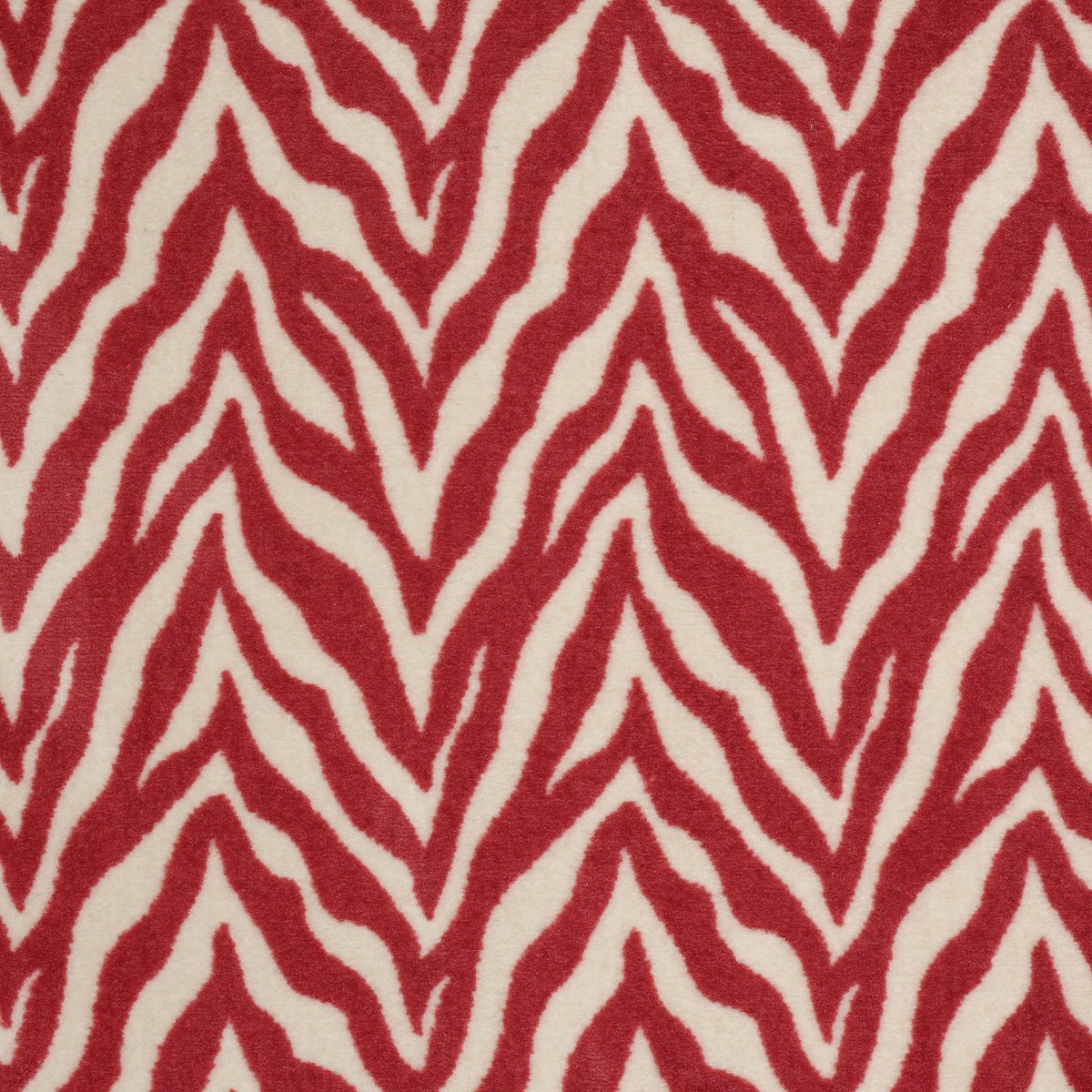 Zesty Zebra Wild At Heart 35802
