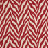 Zesty Zebra Wild At Heart 35802