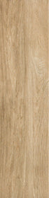 Shaw Valentino Porcelain Tile 8x32 Lights