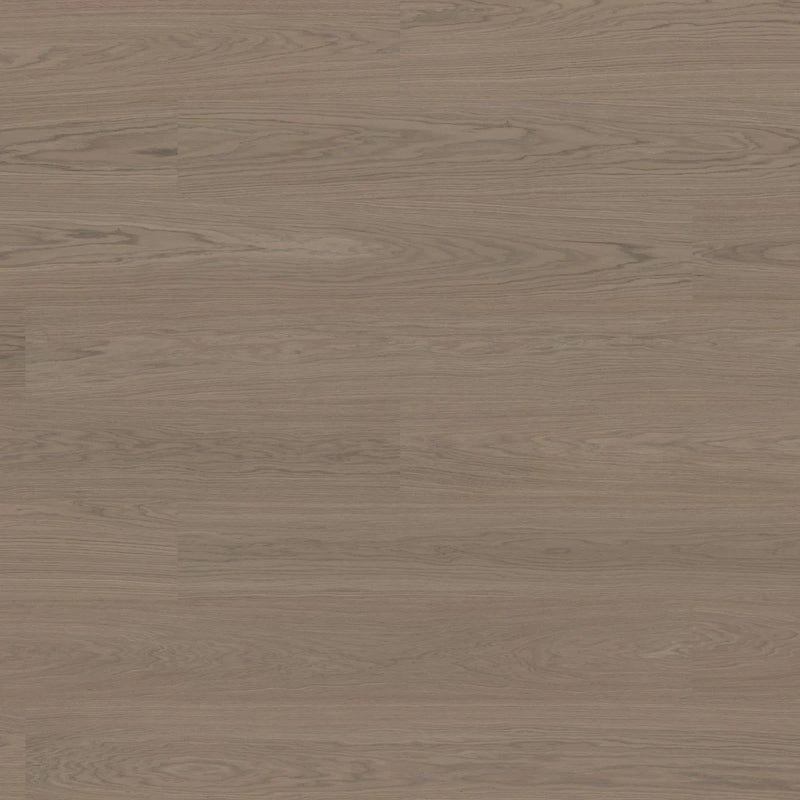 Bjelin Oak Select XXL Earth Grey Oak hardwood flooring swatch