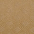 VN19 Spice Cake Fabrica Broadloom Wool Carpet – Venice 12 ft wide - GreenFlooringSupply.com