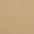 VN23 Toasted Almond Fabrica Broadloom Wool Carpet – Venice 12 ft wide - GreenFlooringSupply.com
