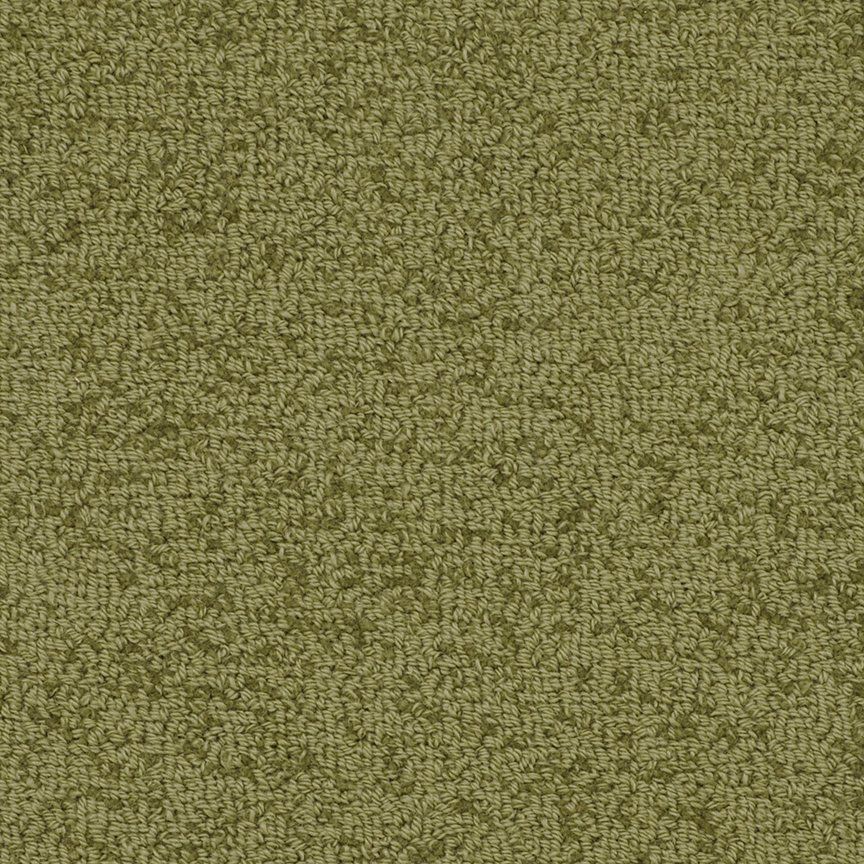 WA14 Cactus Fabrica Broadloom Wool Carpet – Waimea 12 ft wide - GreenFlooringSupply.com