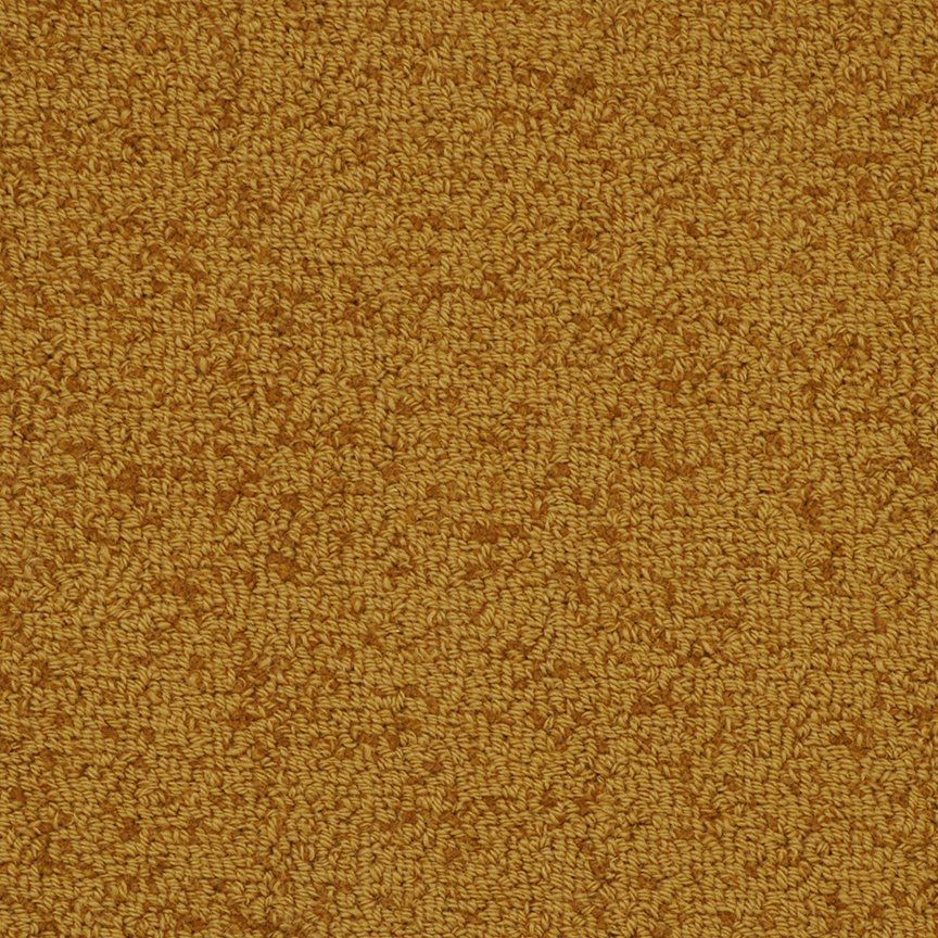WA15 Relic Fabrica Broadloom Wool Carpet – Waimea 12 ft wide - GreenFlooringSupply.com