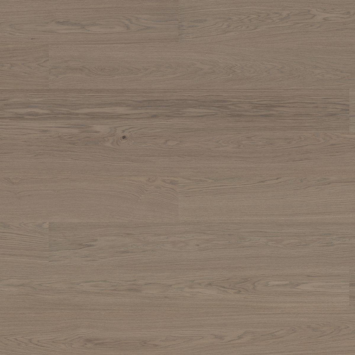 Bjelin Oak Select XL Earth Grey Oak flooring swatch