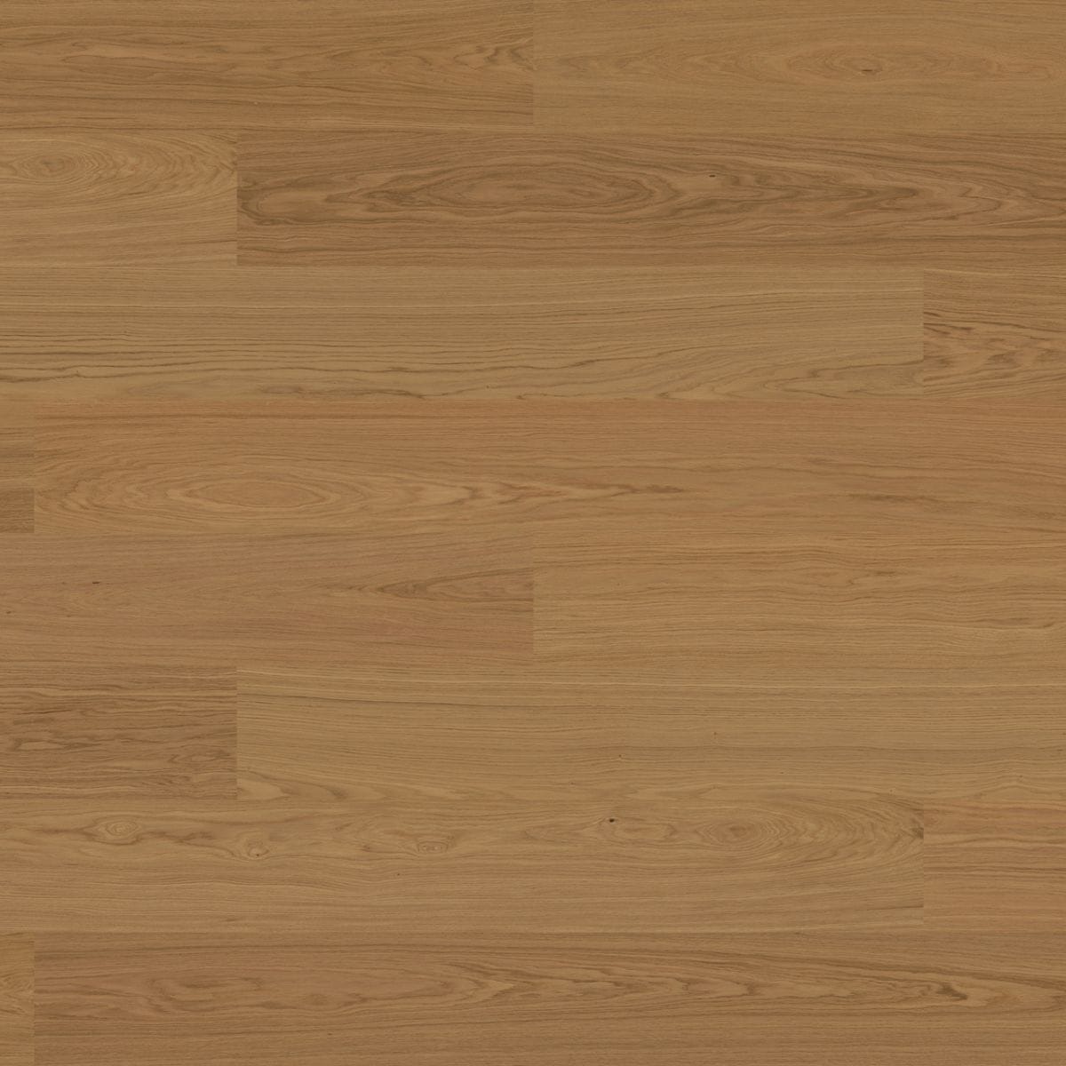 Bjelin Oak Select XL Honey Oak flooring swatch