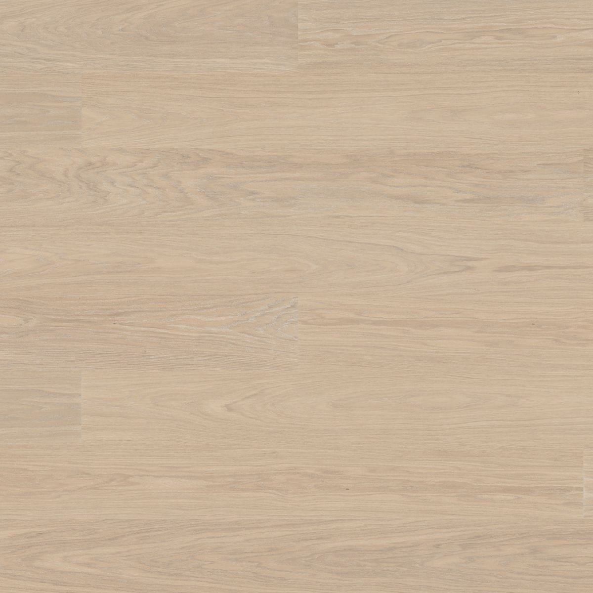 Bjelin Oak Select XL Powder White Oak flooring swatch