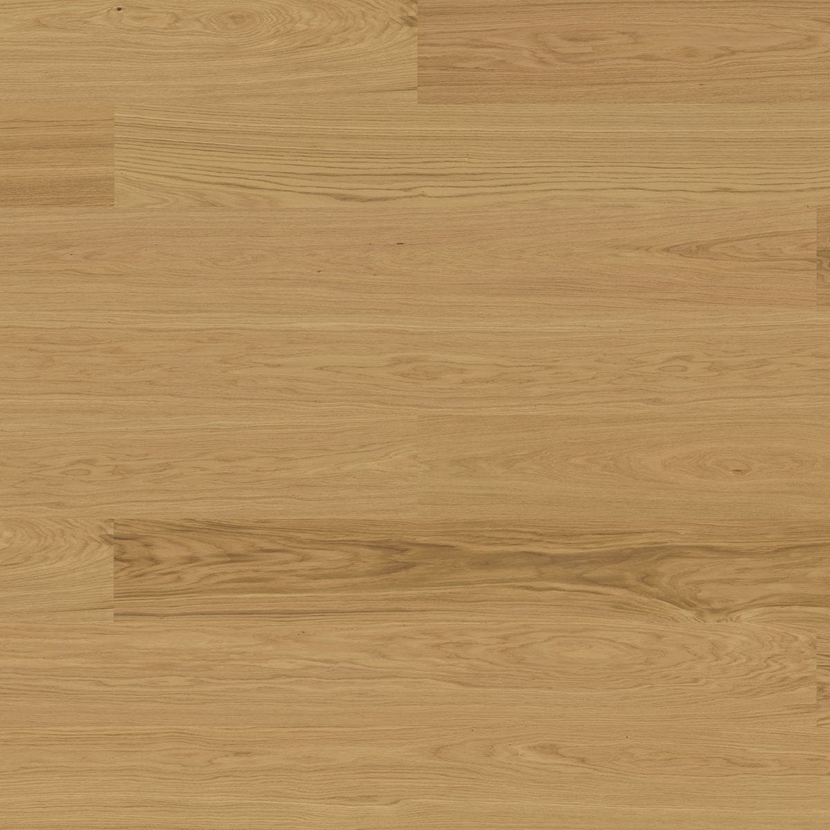 Bjelin Oak Select XL Natural Oak flooring swatch