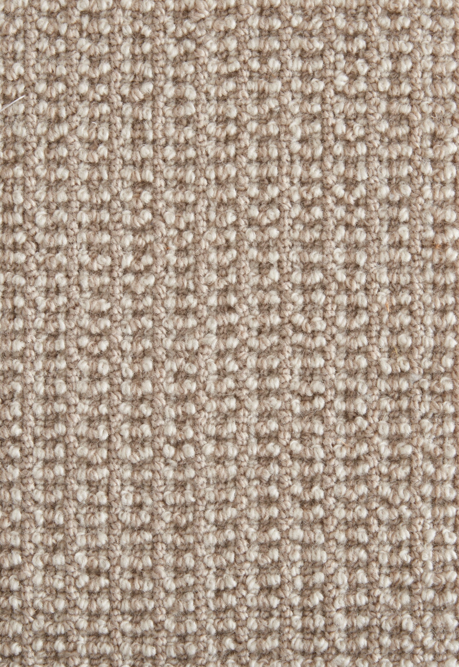 61061 Putty Stanton Broadloom Wool Carpet Jefferson – 13 ft 2 in wide - GreenFlooringSupply.com