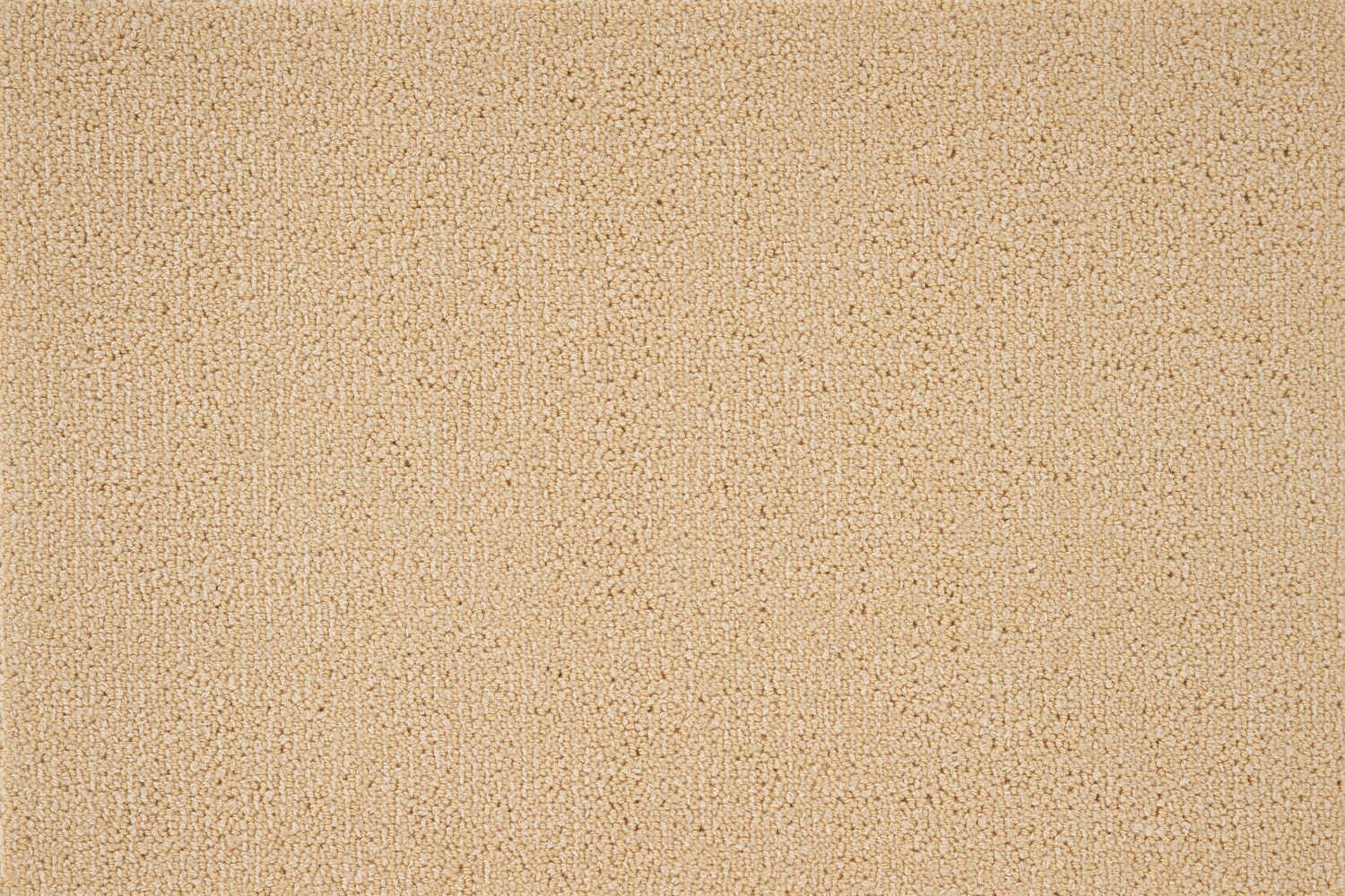 10136 Butternut J Mish Broadloom Wool Carpet – Charade 12 ft wide - GreenFlooringSupply.com