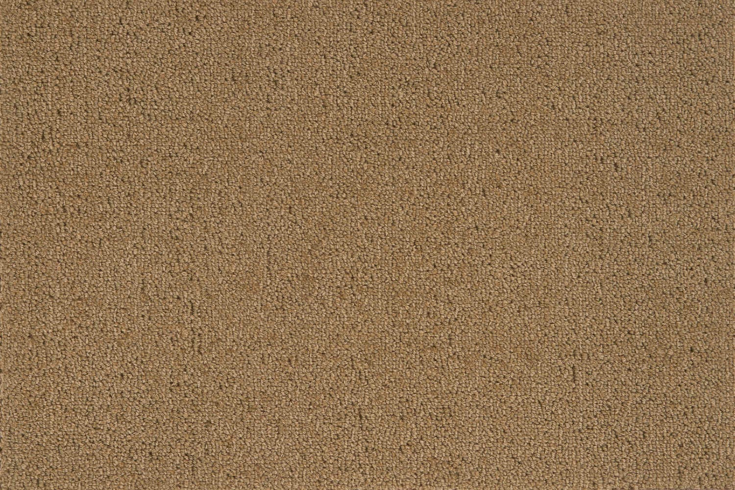 10139 Lichen J Mish Broadloom Wool Carpet – Charade 12 ft wide - GreenFlooringSupply.com