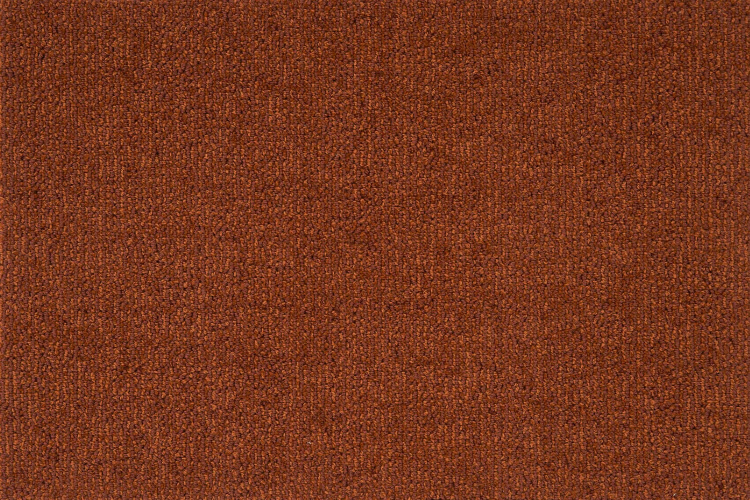 10142 Sienna J Mish Broadloom Wool Carpet – Charade 12 ft wide - GreenFlooringSupply.com
