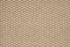 00230 Hazelwood J Mish Broadloom Wool Carpet – Oak Park 16 ft 4 in wide - GreenFlooringSupply.com
