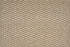 00232 Biscotti J Mish Broadloom Wool Carpet – Oak Park 16 ft 4 in wide - GreenFlooringSupply.com