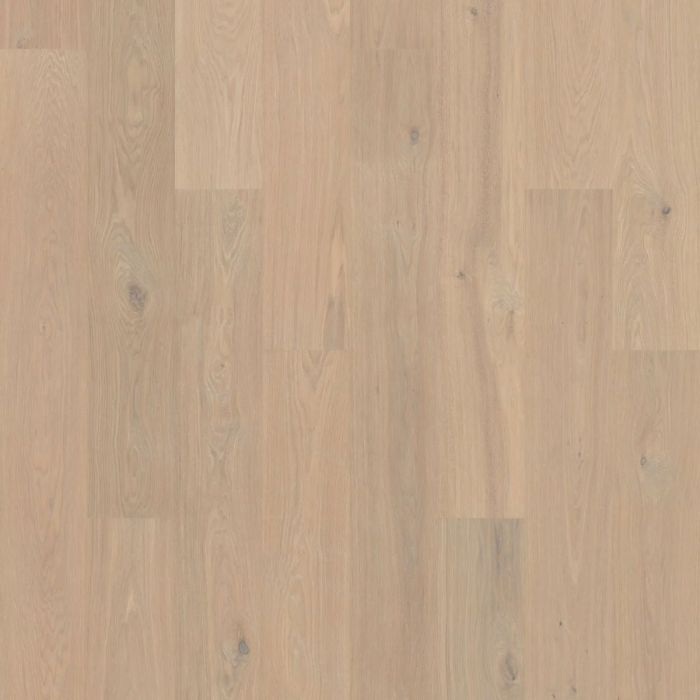 Bjelin Oak Nature XXL Powder White Oak flooring swatch