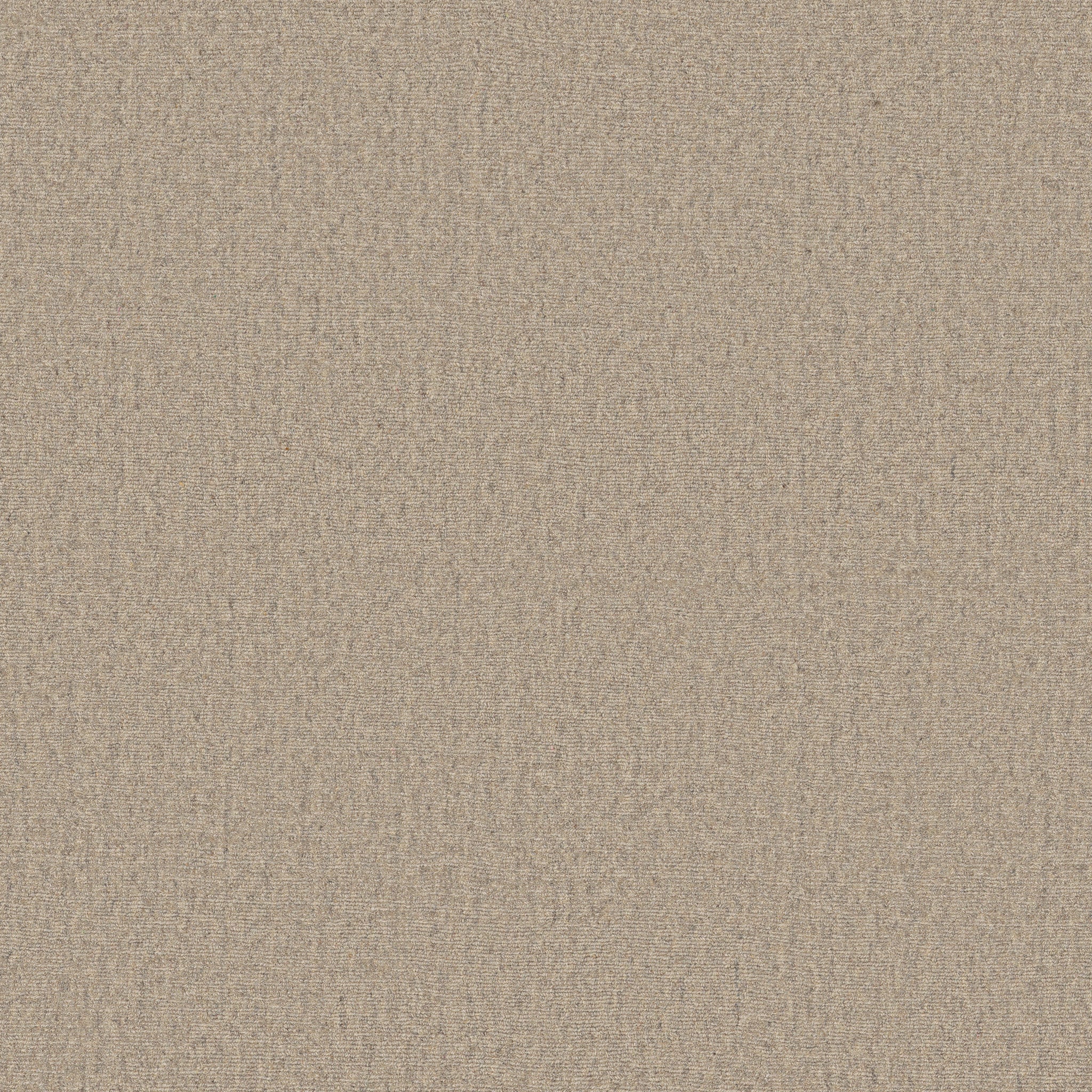 00100 Ash Anderson Tuftex Broadloom Wool Carpet – Finesse 15 ft wide - GreenFlooringSupply.com