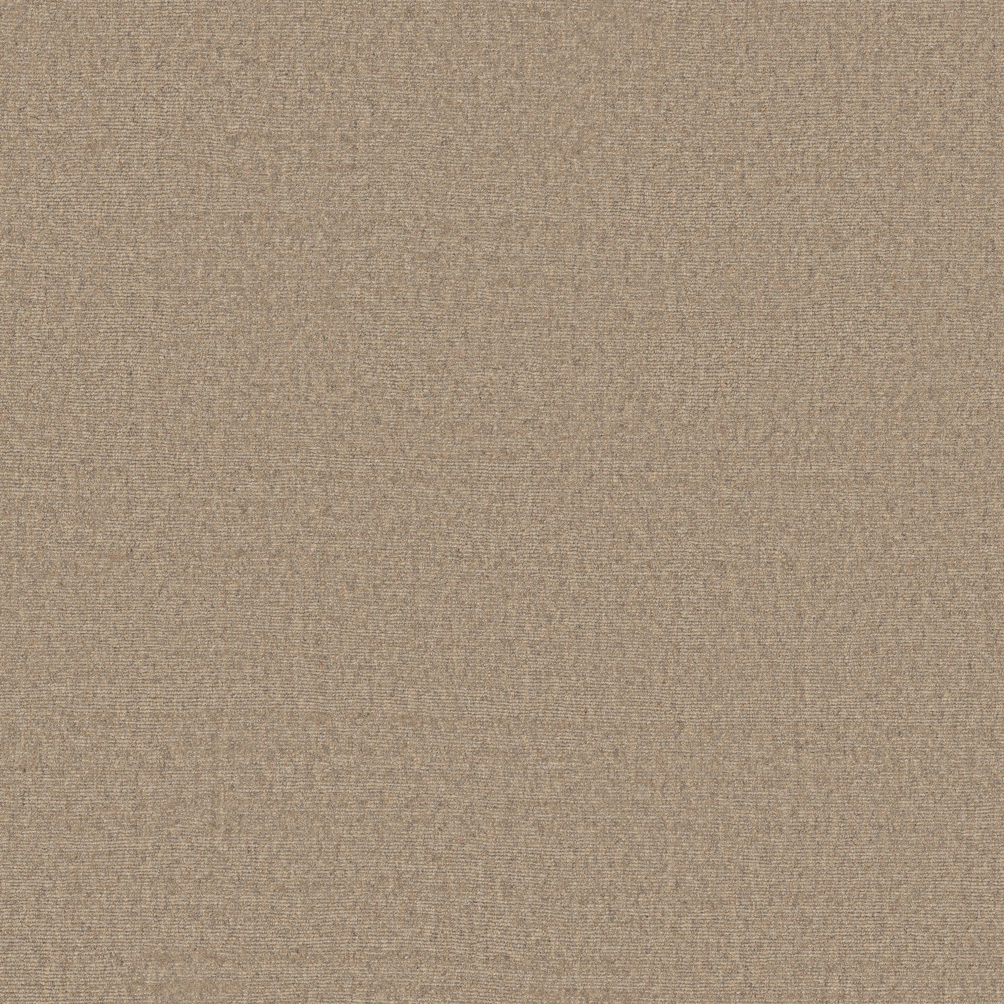 00101 Stroll Anderson Tuftex Broadloom Wool Carpet – Finesse 15 ft wide - GreenFlooringSupply.com