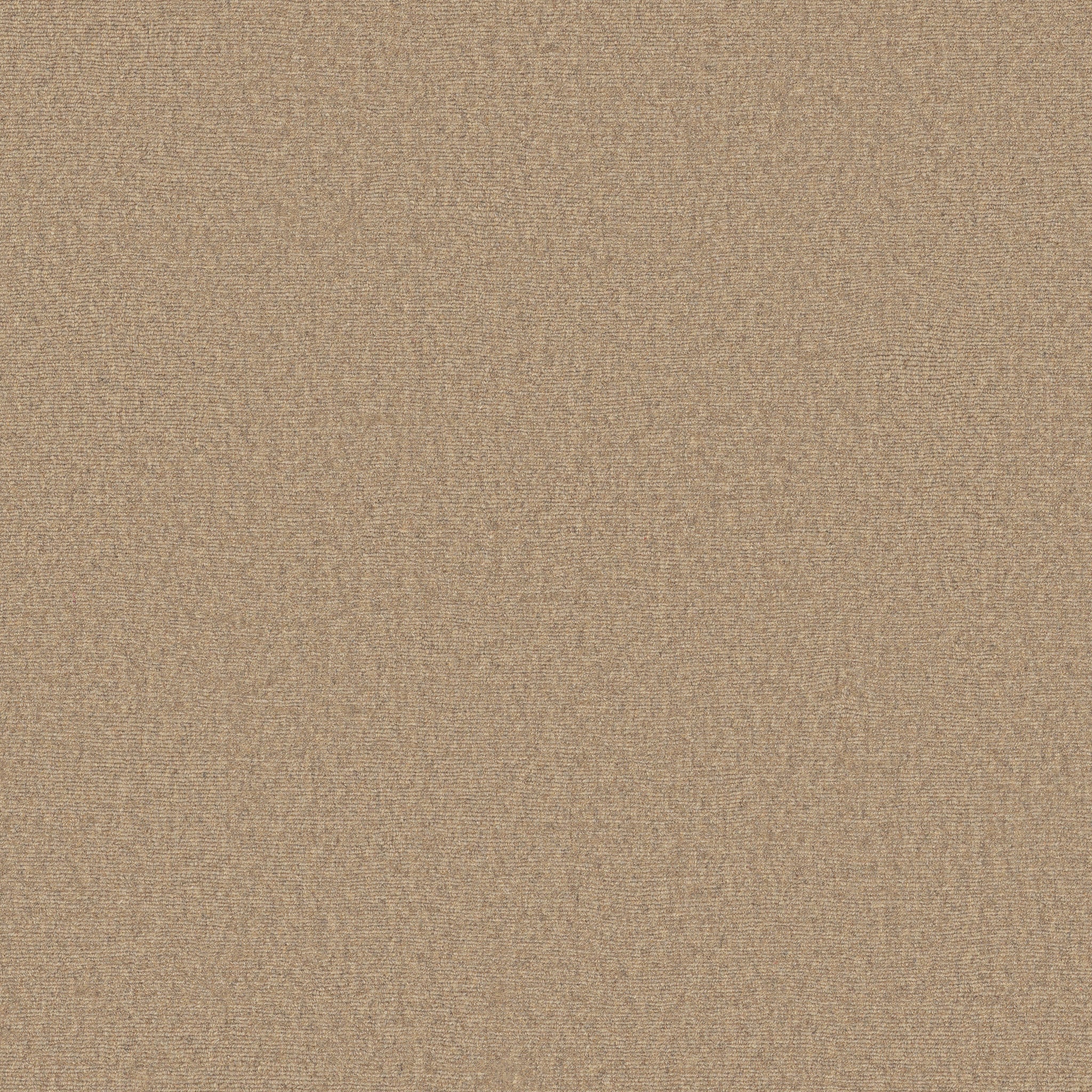 00102 Sunwashed Anderson Tuftex Broadloom Wool Carpet – Finesse 15 ft wide - GreenFlooringSupply.com