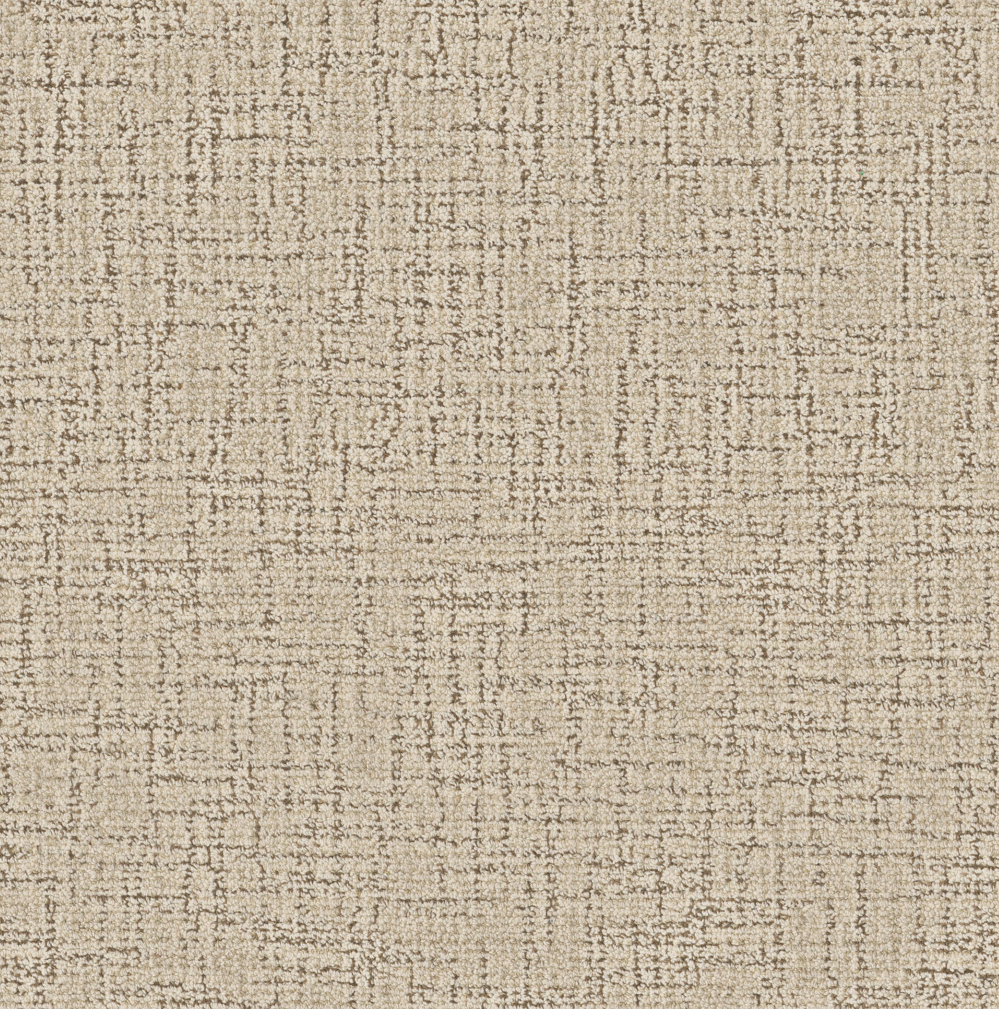 00101 Woodland Anderson Tuftex Broadloom Wool Carpet – Haptic 15 ft wide - GreenFlooringSupply.com
