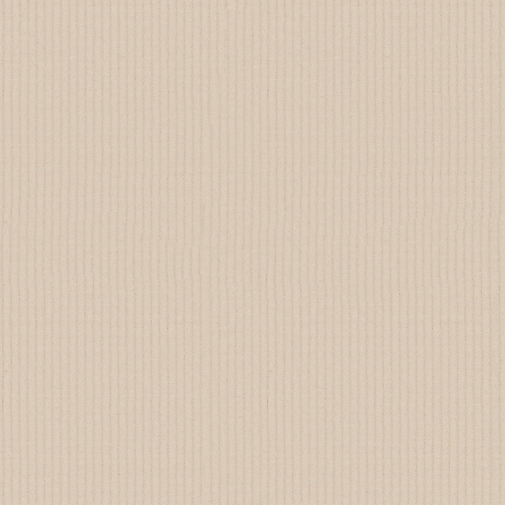 00110 Bianco Anderson Tuftex Broadloom Wool Carpet – Velluto 13 ft wide - GreenFlooringSupply.com