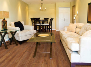 50LVP501_RS-1024x757_150x@2x.