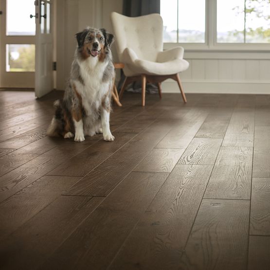 Anderson Tuftex Buckingham 8" - Wales - GreenFlooringSupply.com