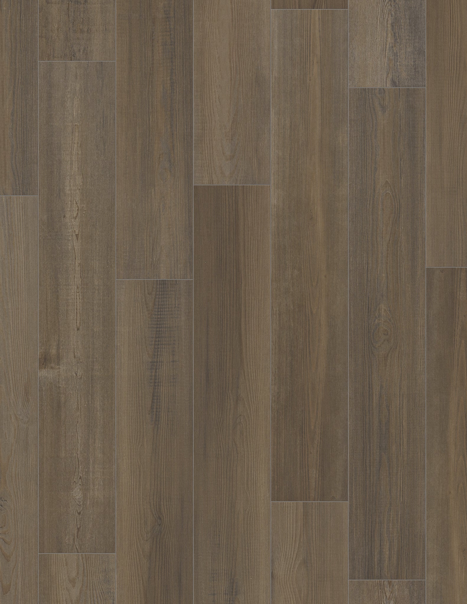 Coretec Advanced Plus – Claverton Pine 7" - GreenFlooringSupply.com